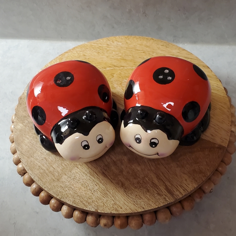 Whimsical LadyBug Salt and Pepper Shakers